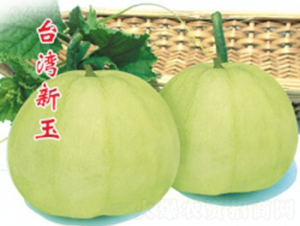 �_������-��ϷN��-�ؼt�N�I(y��)