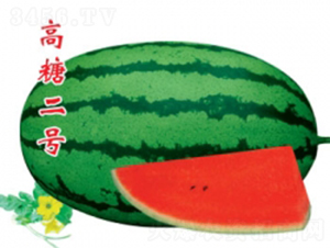 ���Ƕ�̖-���ϷN��-�ؼt�N�I(y��)