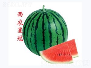 ���r(n��ng)�ǹ�-���ϷN��-�ؼt�N�I(y��)