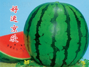 ���\����-���ϷN��-�ؼt�N�I(y��)