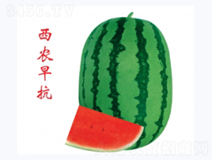 ���r(n��ng)�翹-���ϷN��-�ؼt�N�I(y��)