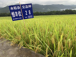 ���S��(y��u)28-�������㵾-��һ�N�I(y��)