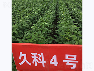 �ÿ�4̖(h��o)-�󶹷N��-�L�ǷN�I(y��)