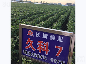 �ÿ�7̖(h��o)-�󶹷N��-�L�ǷN�I(y��)