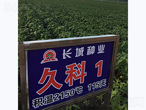 �ÿ�1̖(h��o)-�󶹷N��-�L�ǷN�I(y��)