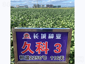 �ÿ�3̖(h��o)-�󶹷N��-�L�ǷN�I(y��)