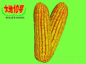 ���10̖-���׷N��-��طN�I(y��)