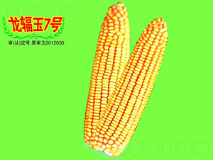 ��ݗ��7̖(h��o)-���׷N��-��طN�I(y��)