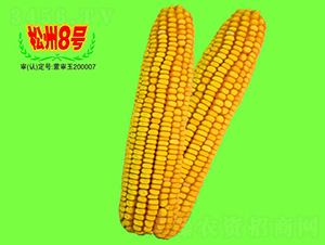 ����8̖-���׷N��-��طN�I(y��)