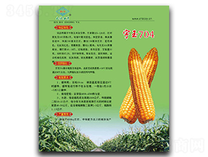 ����704-���׷N��-��طN�I(y��)