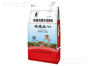 �}�V��������-���(y��ng)�r(n��ng)�I(y��)