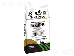 �������20kg-���(y��ng)����