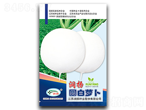 ���P�A���}��-�}���N��-���P�N�I(y��)