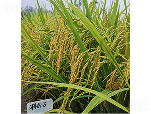 ����ռ-ˮ���N��-���P�N�I(y��)