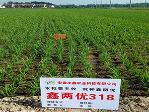 �΃Ƀ�(y��u)318-ˮ���N��-���P�N�I(y��)