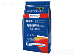 �����}��V-�W�׸�-�Ƃ��d��