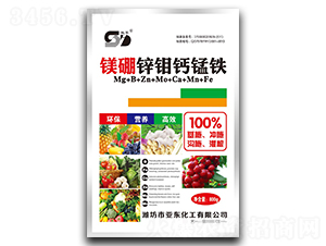 �V���\�f�}�i�F-�p�|-���|����