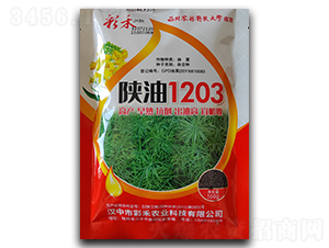 ���1203-�ʺ�-�β��r(n��ng)�I(y��)