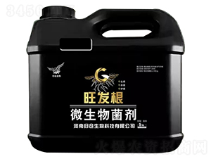 ΢�������-���l(f��)��-�w�}����