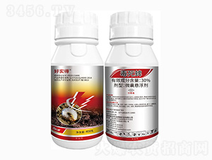 30%������-�Ì���-���r��