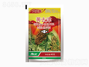 38%ݬȥ��-�����-���r��