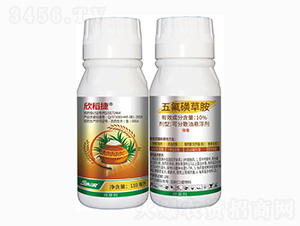 25��ÿ������ǲݰ�-������-���r��