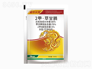 80%2�ס��ݸ��-�𠖻���-���r��