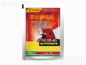 80%�ݸ���@�}-���ٰ�-���r��