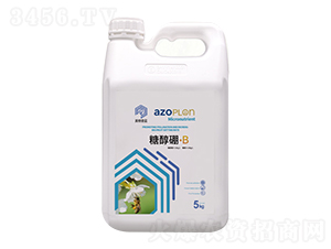 �Ǵ���-������