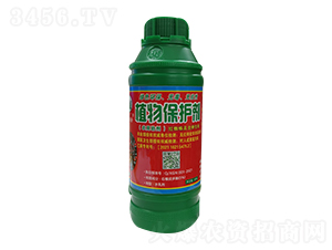 �t֩�댣��ֲ�ﱣ�o(h��)��-�¸����r(n��ng)�I(y��)