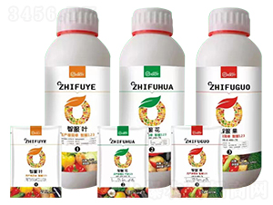 �A�ΠI(y��ng)�B(y��ng)����-ِ���ء��Ƿ�