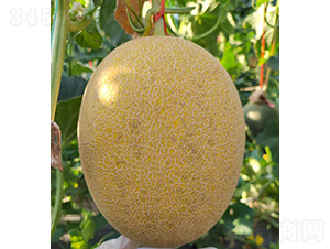 �SƤ25���-��ϷN��-��(y��u)�Π�����