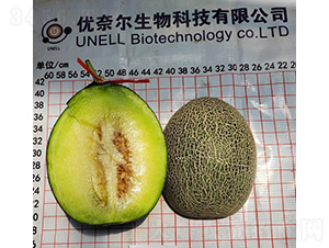 �G��25�q��-��ϷN��-��(y��u)�Π�����