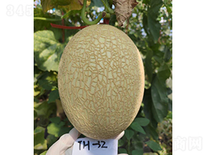 ��Ƥ25�۹�-��ϷN��-��(y��u)�Π�����