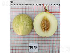 ����������¶�F(tu��n)-��ϷN��-��(y��u)�Π�����