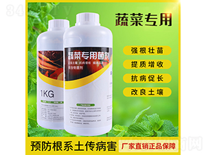 �߲ˌ�(zhu��n)�þ���-��(r��n)��