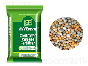 ȫ�ؿ�ጷ�-������