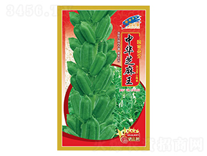 ���A֥����-֥��N��-�Aһ�N�I(y��)