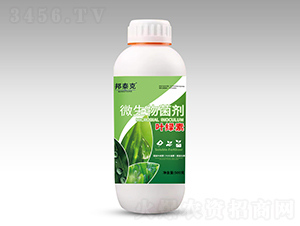 �~�G��΢�������-��̩��-�H�A�r(n��ng)�I(y��)