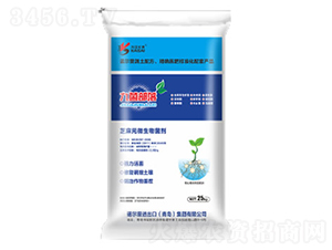 �ž�����-�Z����