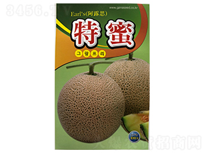 ����-��ϷN��-ɽ��ʢ�N��