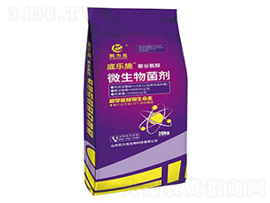 �۹Ȱ���΢�������-�ט�ʩ-�P����