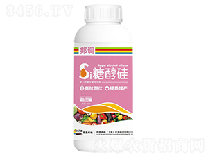 �Ǵ���-���{-�ڶ����