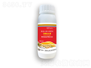 픝M���L��-�ڶ����