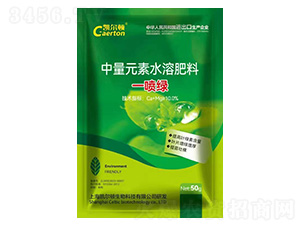 ����Ԫ��ˮ�ܷ���-һ���G-�P���D-�G���r��