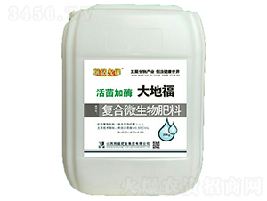 �����ø��ظ�-̽·���h-�Pʢ