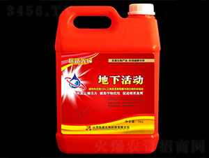 ΢�������-���»��-�Pʢ