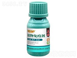 ���ǡ�ֲ�����߄�-̽·���h-�Pʢ