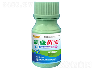 �Pʢ�簲����(zhu��n)�I(y��)�������݄�Σ����-̽·���h-�Pʢ