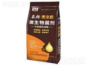 ���ǡ��ڽ��΢�������-�P˴-�Pʢ